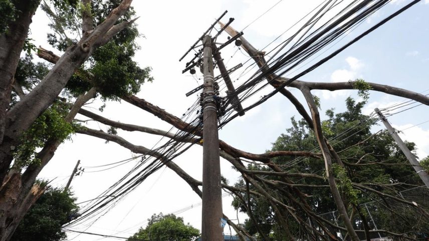 Galho de árvore cai em fiação de energia em São Paulo (Foto: Edilson Dantas/O Globo)