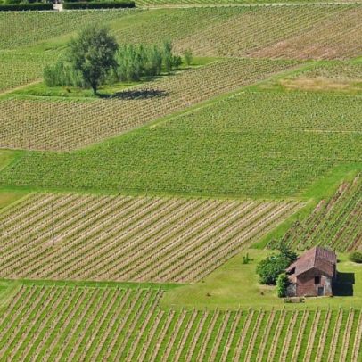 Cahors destaca-se como o berço do malbec na viticultura francesa