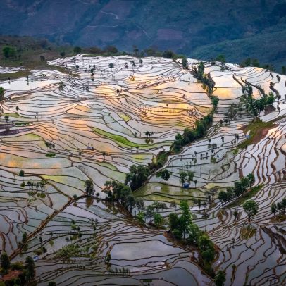 Descubra Yunnan: a China das impressionantes terrazas de arroz e templos históricos