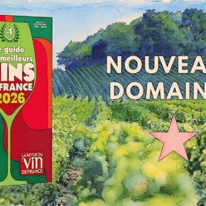 Destaques do guia de vinhos 2026: novos domínios recebem sua primeira estrela
