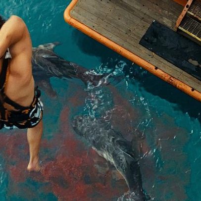 Tiburões e filmes de terror: a nova onda da exploração de tubarões