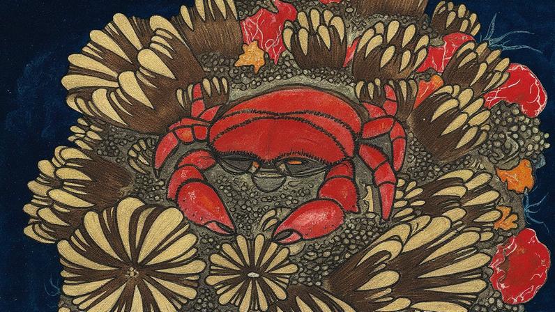 PALEOANTAR/ Museu Nacional/UFRJ/Ilustração: Maurílio Oliveira/Divulgação (Foto: PALEOANTAR/ Museu Nacional/UFRJ/Divulgação)