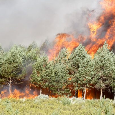 Fogo descontrolado entre Zamora e Ourense força evacuação de 1.700 pessoas