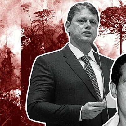 Lei de Tarcísio favorece ruralista condenado por desmatamento na Amazônia