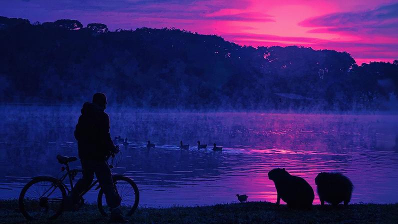 Foto: Orlando Kissner/AEN