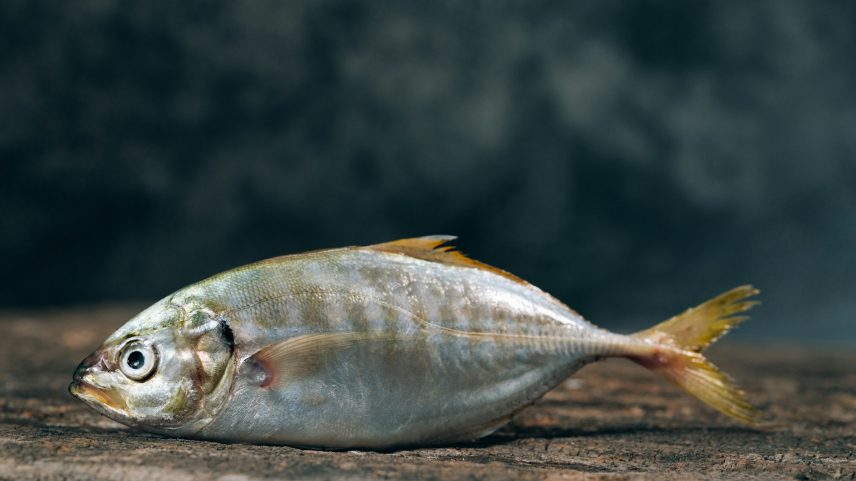 Foto: Unsplash