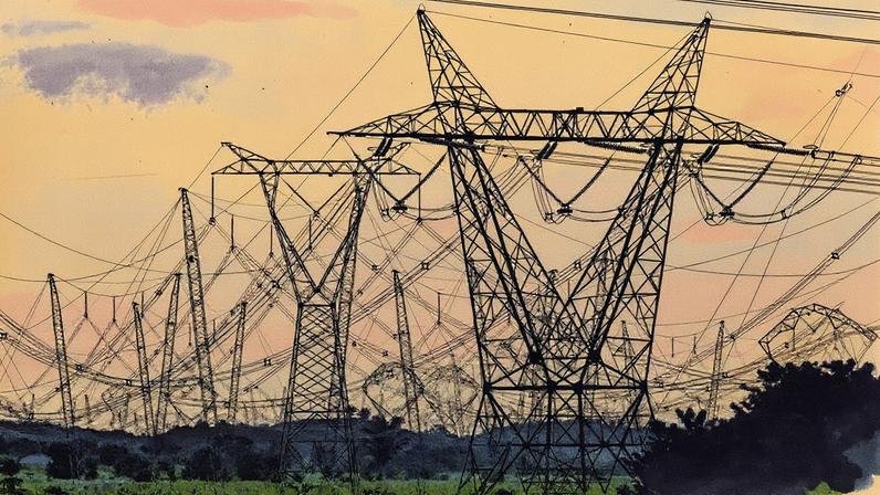 Torres de transmissão de energia elétrica no Pará (Foto: REUTERS/Paulo Santos)