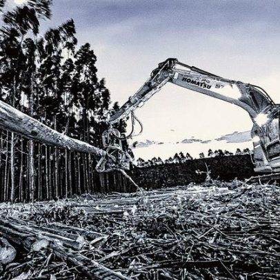 Suzano aumenta preço da celulose e ações sobem com alívio nas pressões do mercado