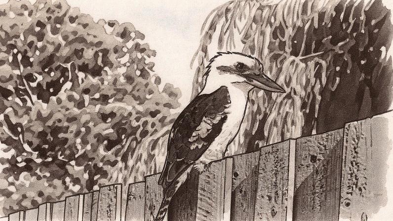 Cucaburra ao ar livre (Foto: Freepik)