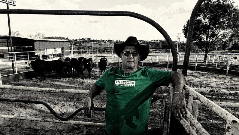 Tropeiro Marcondes Maia com touros em centro de treinamento em Uchoa, São Paulo (Foto: Reprodução)