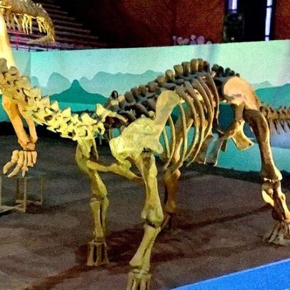 Dinossauros de pescoço longo podiam se erguer sobre duas patas, aponta pesquisa