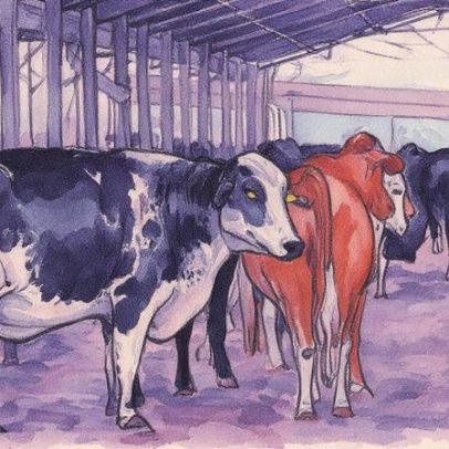 Vacina Excell 10 é suspeita de causar morte de quase 200 animais em dois lotes