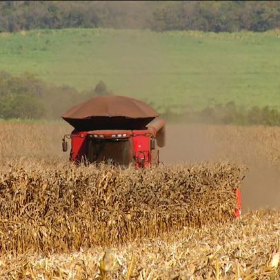 Brasil prevê safra recorde de grãos, mas enfrenta falta de armazenamento adequado