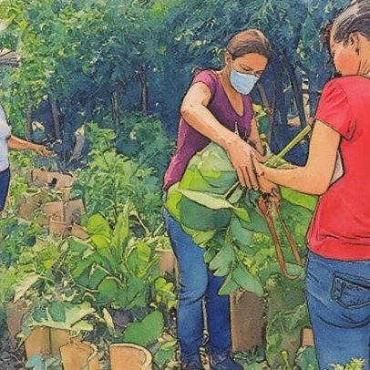 Favela brasileira escolhe caminho verde para evitar despejo
