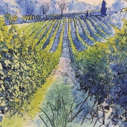 Asti reduz produção de mousseux italiano devido à queda nas vendas