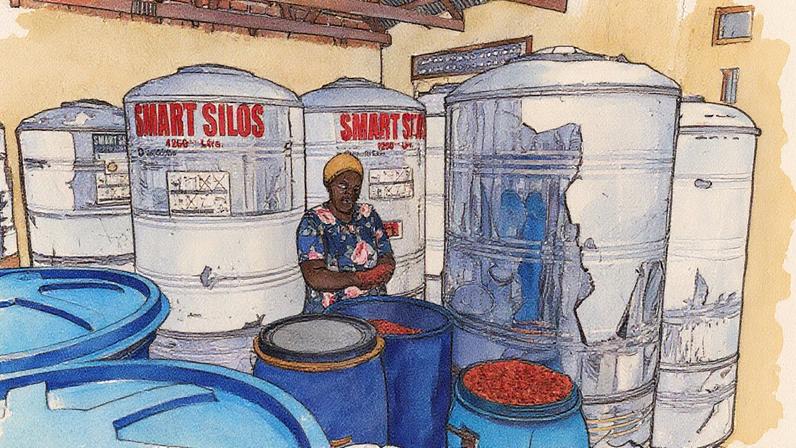 Agricultora exibe seus produtos em Nakapiripirit, Uganda (Foto: Reprodução)
