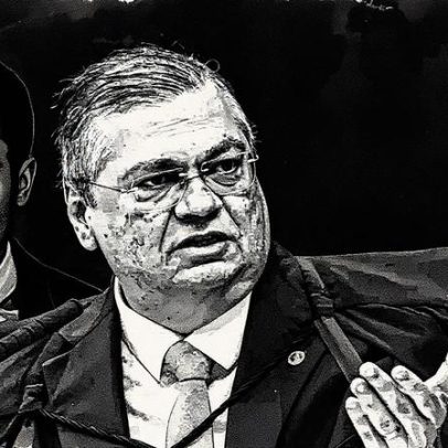 Advogados de Bolsonaro veem como positiva a divergência de Dino na Justiça