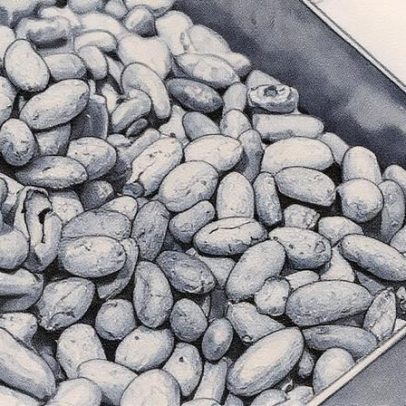 Preço do café dispara globalmente devido à seca e pressão dos EUA sobre o Brasil