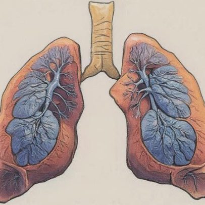 Pesquisa da FAPESP é premiada pela Sociedade Europeia de Pneumologia
