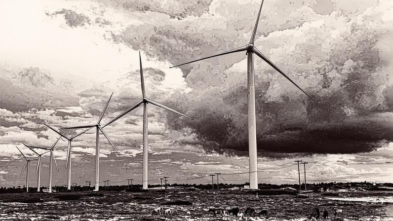 Turbinas de energia eólica em um campo no Ceará (Foto: Reprodução)