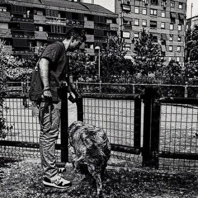 Pandemia aumenta agressividade e problemas de adestramento em cães