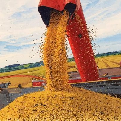 Louis Dreyfus Aumenta Volumes, Mas Registra Queda nos Lucros no 1º Semestre