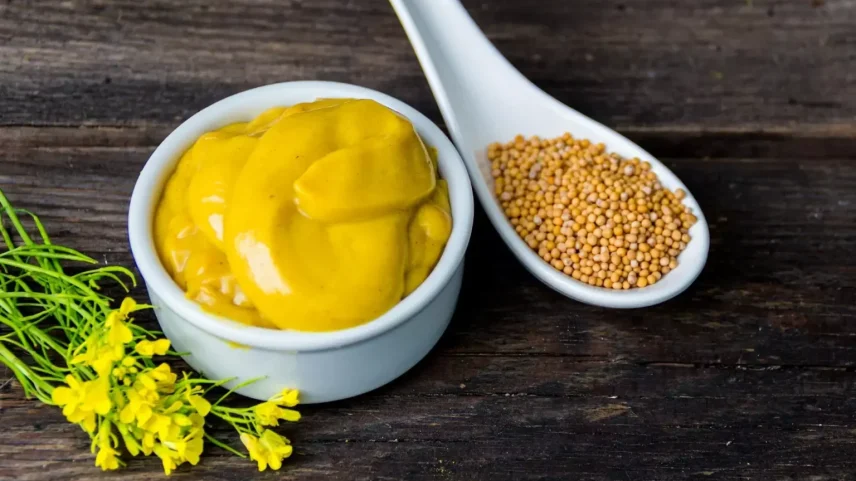 Diferentes tipos de mostarda - Foto: Reprodução