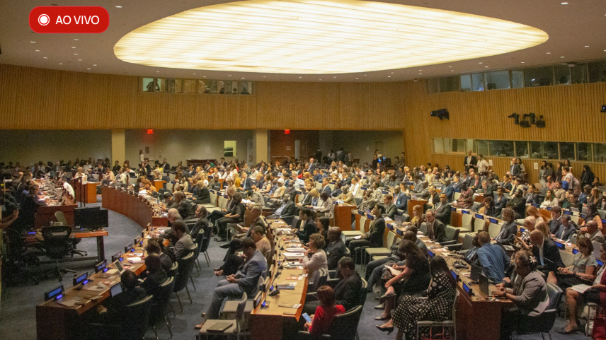 Assembleia Geral da ONU