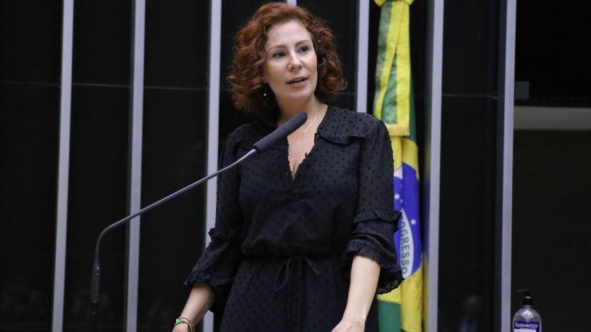 Carla Zambelli participa de audiência na Câmara por videochamada (Foto: Reprodução)