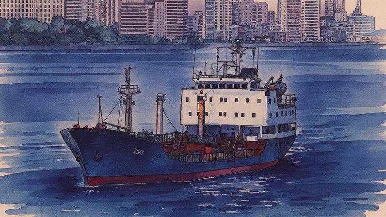 Navio com bandeira da Rússia se dirige ao porto de Havana (Foto: Reprodução)