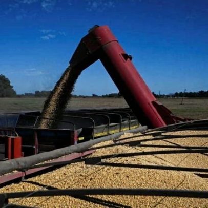China adquire soja da Argentina após queda de impostos