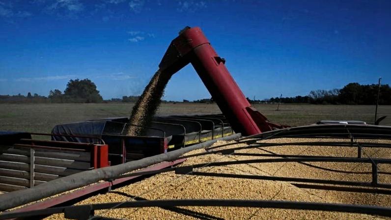 Um dos traders disse que os compradores chineses haviam reservado 15 cargas