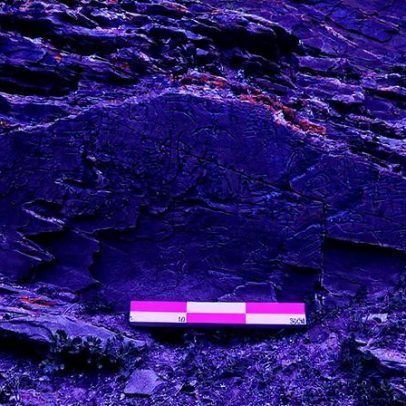 Pedra antiga revela busca por imortalidade do primeiro imperador da China