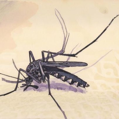 Dengue e chikungunya geram prejuízo de R$ 1,2 bilhão ao sistema de saúde