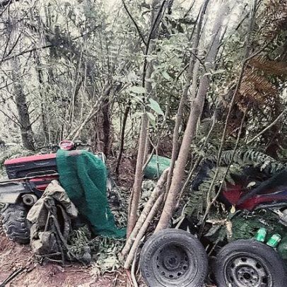 Três crianças sequestradas pelo pai são encontradas após intensa busca na Nova Zelândia
