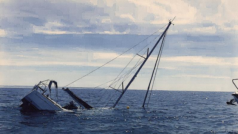 Orcas causam naufrágio de veleiro em Portugal (Foto: Reprodução)