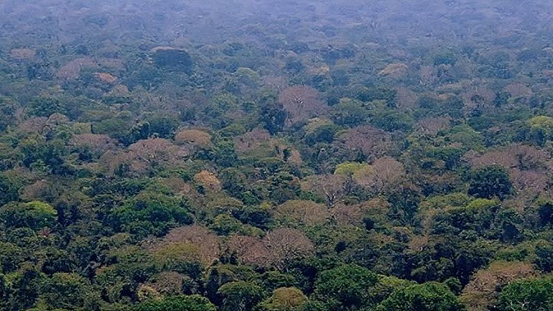 Os projetos terão duração máxima de três anos (Foto: Reprodução)