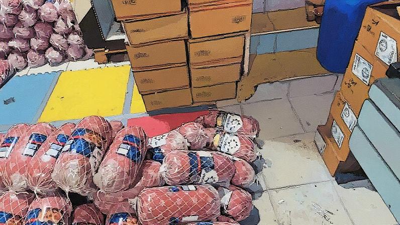 Mais de 7 toneladas de embutidos estragados com validade adulterada apreendidas no interior de SP (Foto: Reprodução)