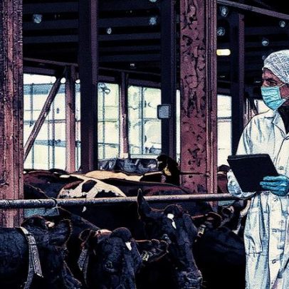 Epidemias antigas surgiram com o avanço da ganadería, revela análise de DNA