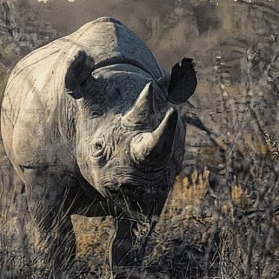 Namíbia mobiliza exército para combater incêndio que queima um terço da reserva de Etosha