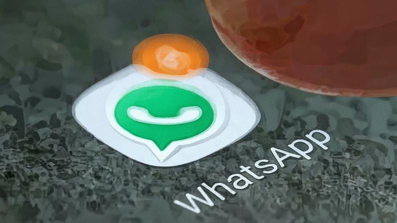 WhatsApp tem feito circular informações (Foto: Reprodução)