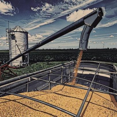 Trump pressiona agricultores dos EUA com novas políticas e desafios econômicos