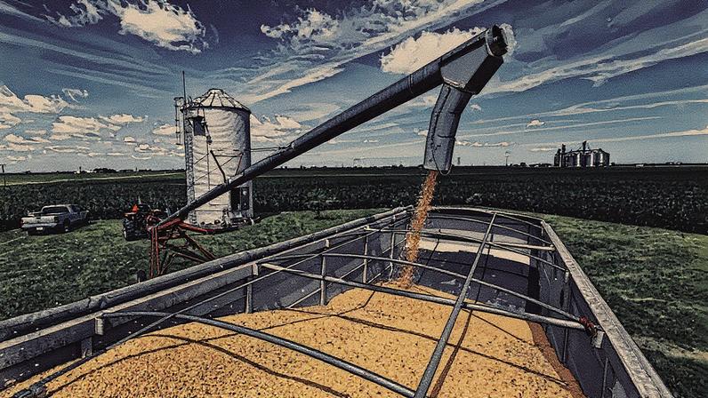Agricultor carrega soja de um silo para um caminhão antes de levá-la a um elevador de grãos em Dwight, Illinois (Foto: Reprodução)