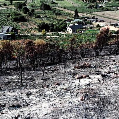 Incêndios sem precedentes devastam mais de 90 mil hectares na Galícia