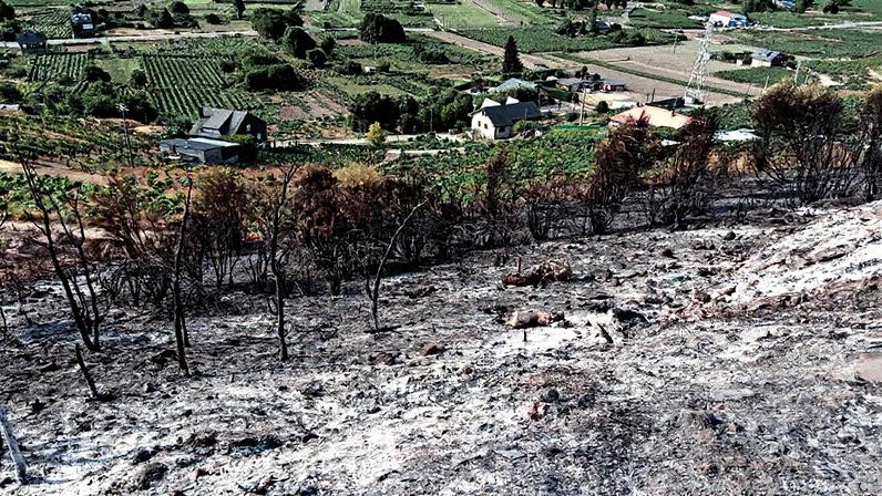 Encostas consumidas pelo fogo em Valdeorras, Galícia (Foto: Reprodução)
