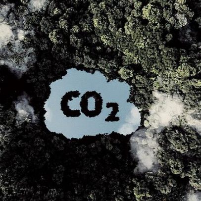 B4 projeta movimentar R$ 1,1 bilhão em créditos de carbono na bolsa climática