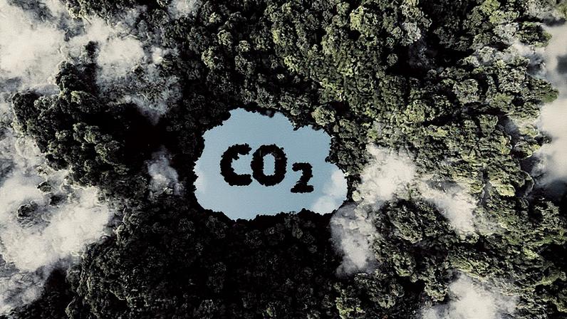 Brasil é destacado como líder global no mercado de carbono devido a suas vantagens competitivas únicas (Foto: Reprodução)