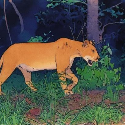 Filhotes de leão nascem pela primeira vez em décadas em parque africano