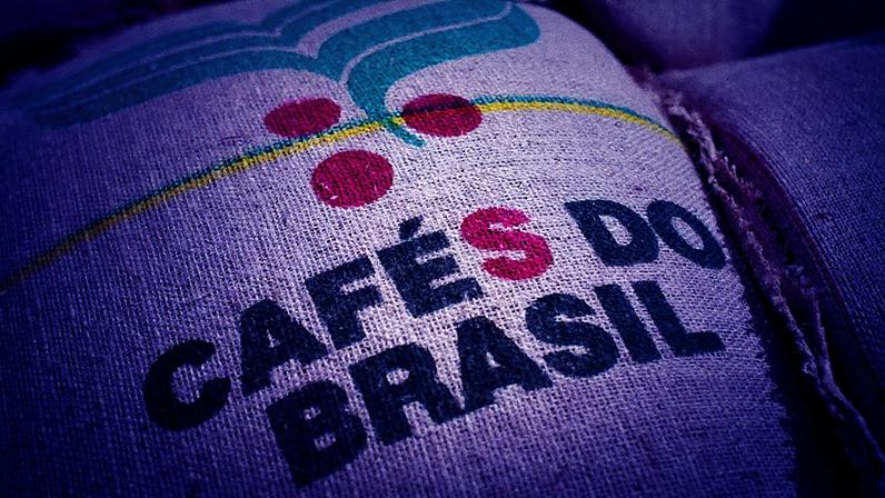 Saca de café com grãos brasileiros, destacando a importância das exportações para os Estados Unidos e a ausência do México como comprador (Foto: Reprodução)