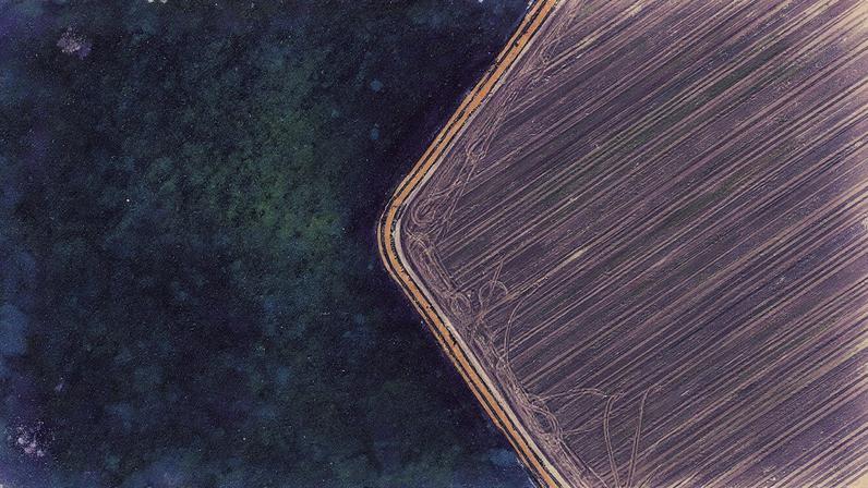 Área de preservação da Amazônia Legal ao lado de plantação de soja em fazenda em Paragominas, sul do Pará (Foto: Reprodução)